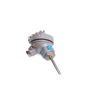 rtd small head 1